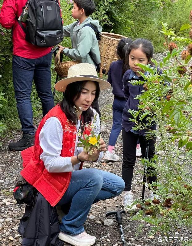 郭晶晶全家山西旅游 温馨家庭游引关注