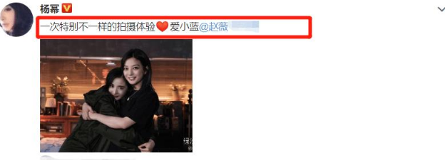 赵薇作品被多平台除名 杨幂李冰冰等删掉与其合影