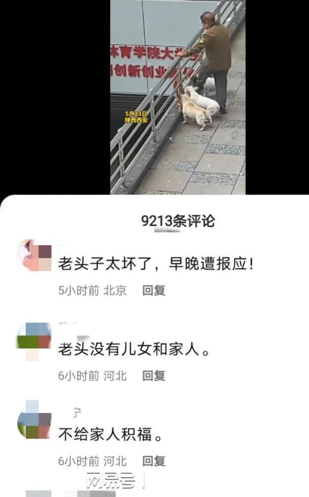 老人遛狗不牵绳还将猫踢飞 网友愤怒斥责坏人变老