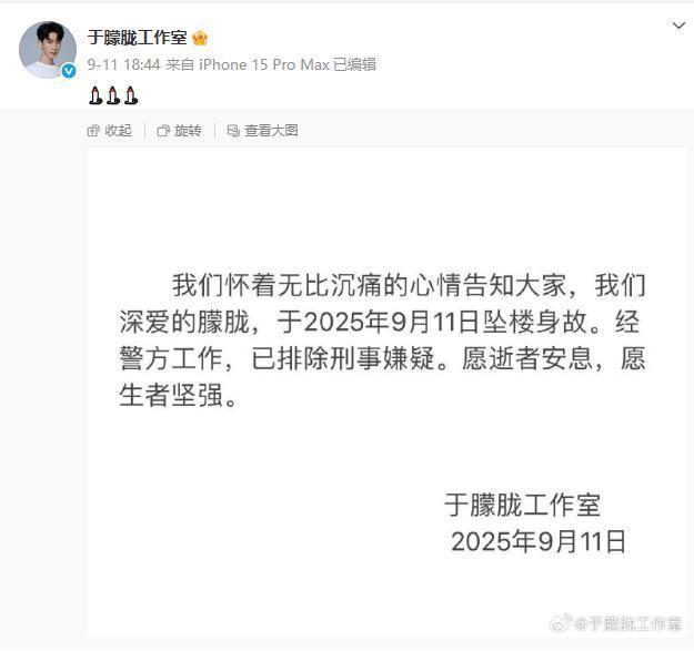 于朦胧坠楼事件应有权威通报 澄清真相平息争议