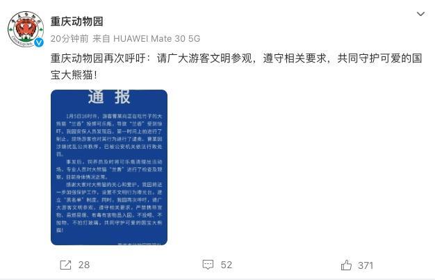 动物园通报男子向熊猫扔可乐 涉事者已被处罚