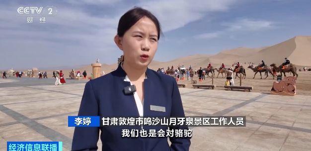 敦煌景区骆驼有了作息时间表 保障健康与游览体验