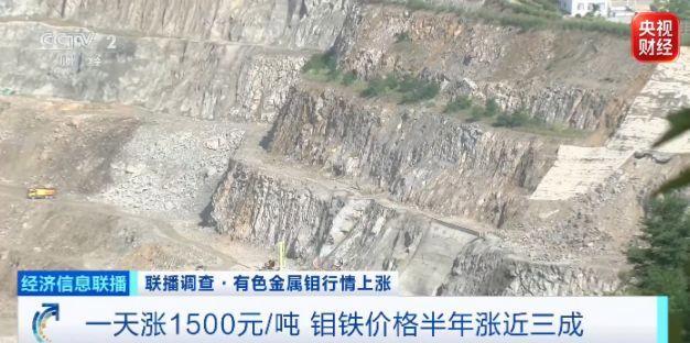 一天1500元 “工业维生素”价格大涨 钼价创近三年新高