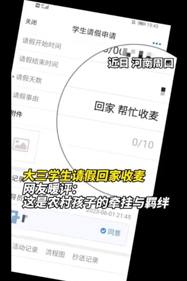 河南人回来收麦了 重温80年代金黄记忆