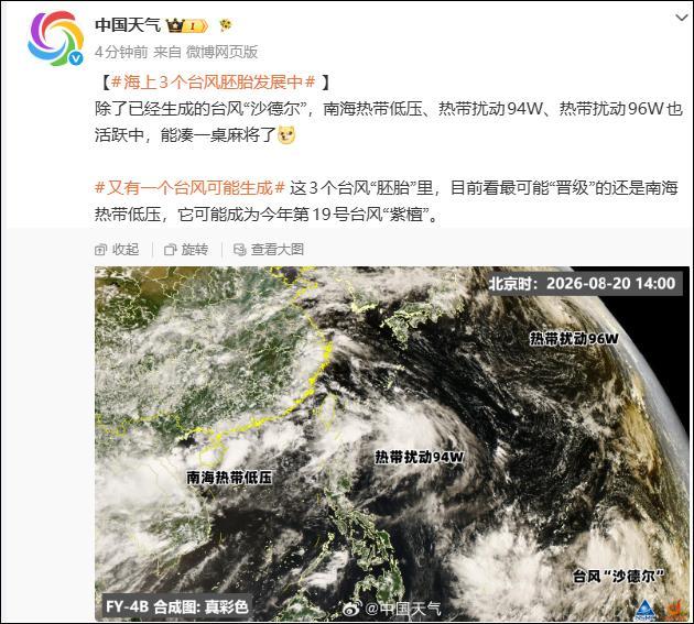 第19号台风紫檀有消息了