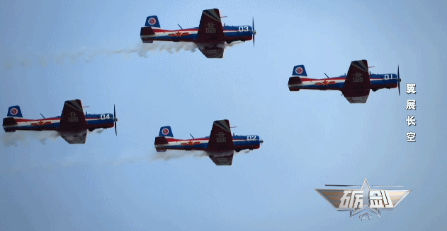 为什么飞行员的第一架飞机都是它?专家揭秘