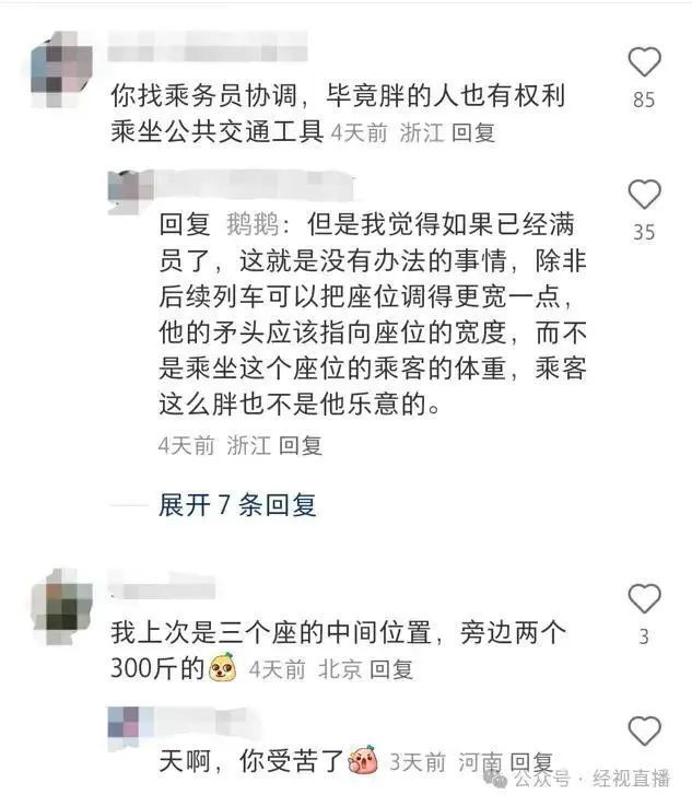 媒体评乘客吐槽高铁邻座男子太胖 体型差异引发座位困扰