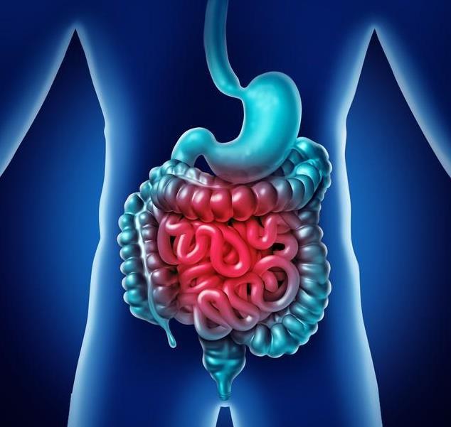 每天都吃蔬菜却还便秘?这4个原因易诱发便秘,建议对症治疗