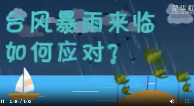 台风暴雨来临该如何应对？