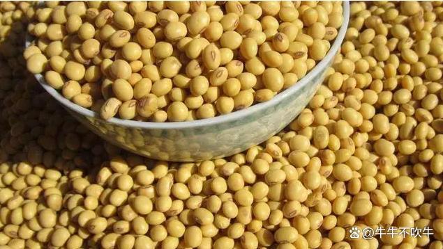 全球大豆市场风云突变 中国策略调整引发关注