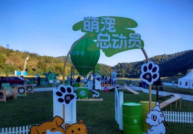 首搭防眩晕系统比海外价便宜一半MG ES5上市低至9.99万元起