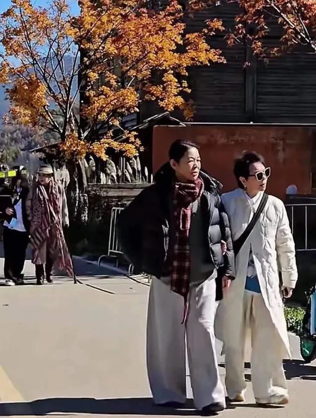 《一路繁花》这场旅行，撕开了明星的“完美滤镜”