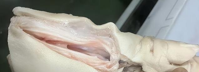 猪蹄如何保持新鲜？超低温速冻技术揭秘，食品保鲜不再难！
