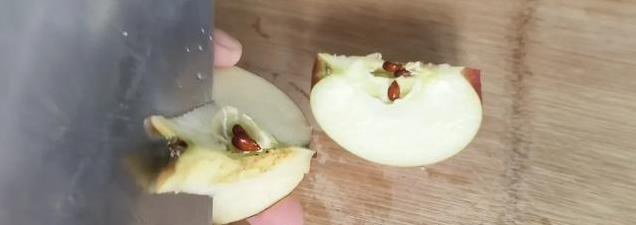 苹果加大蒜蒸一蒸，竟能缓解感冒？老一辈的“神奇”土方法