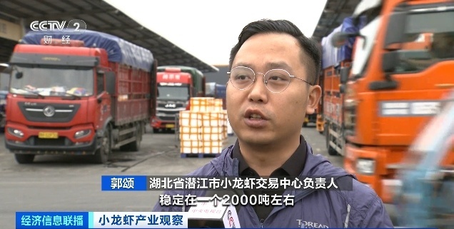 小龍蝦價格腰斬還會再降 旺季銷量激增