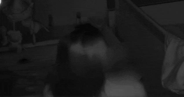 7个月婴儿遭月嫂恶意猛摇