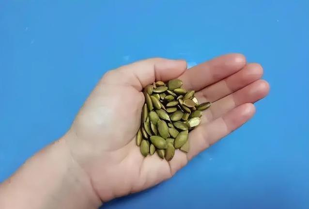 小小南瓜籽藏大秘密，每天一小把，身体悄悄变年轻？
