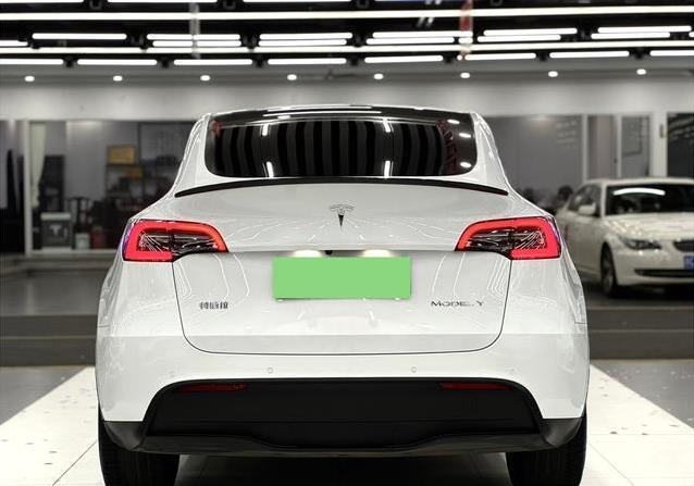 17万入手特斯拉Model Y，省钱又拉风，值不值得买？