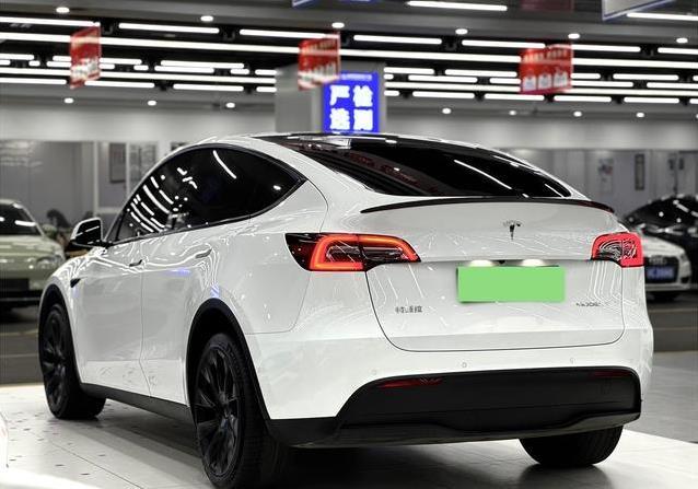 17万入手特斯拉Model Y，省钱又拉风，值不值得买？