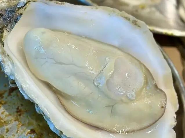 海蛎子鲜到爆！一年只肥这几月，再贵也得尝？