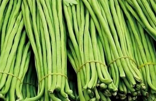 豇豆不起眼却藏大本事！连吃14天，肠子血管悄悄变好？
