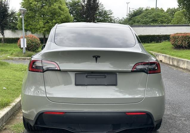 15.98万入手特斯拉Model Y，省钱又拉风，真香还是有坑？