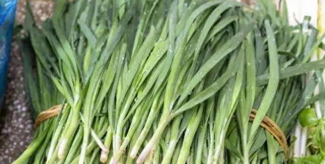 紫根韭菜香翻天，白根甜脆咋选？菜农揭秘真相！
