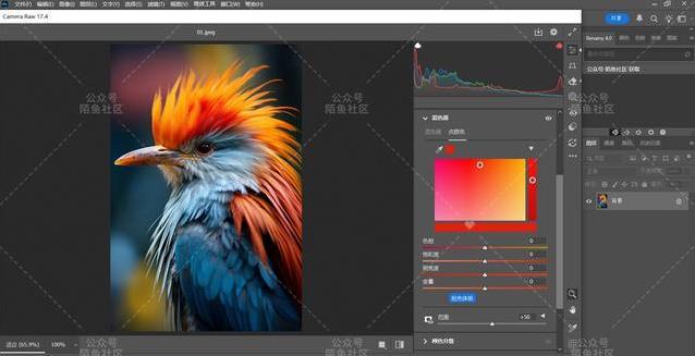 AI修图神器上线，Camera Raw 17.4新功能逆天，你敢试吗？
