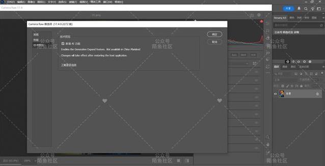 AI修图神器上线，Camera Raw 17.4新功能逆天，你敢试吗？