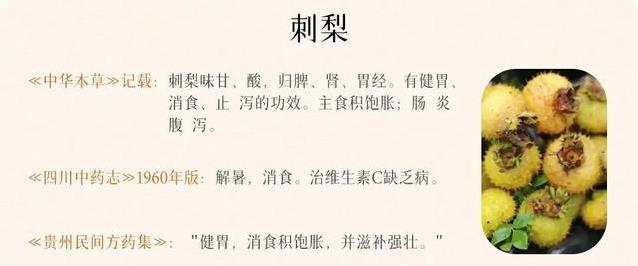 伏天脾虚没精神？3种小果子补气血，哪个最好吃？