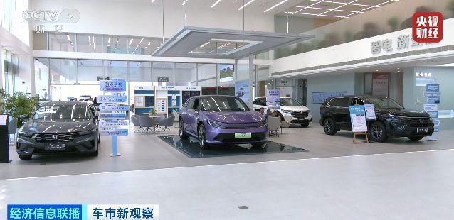 車市“電漲油降”？原因幾何 新能源與燃油車市場分化明顯