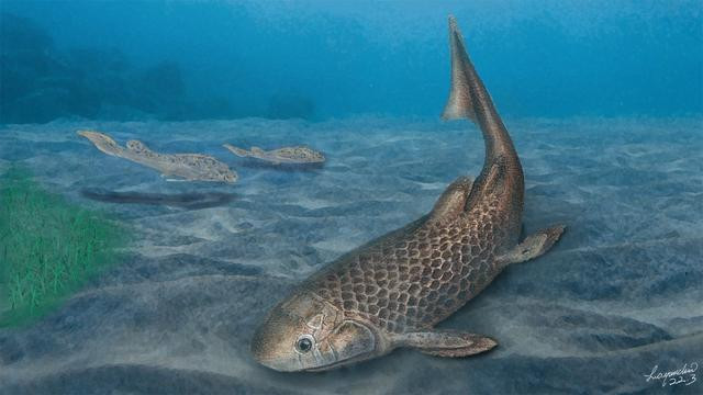 3.9亿年前化石揭秘肺鱼“吃饭”新模式