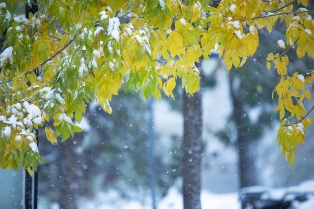 凌晨，“小雪”来了！