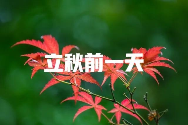 今日绝日，老人最怕“绝日一日晴”！啥征兆？