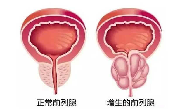 微信图片_2025-10-21_091745_829_副本.jpg