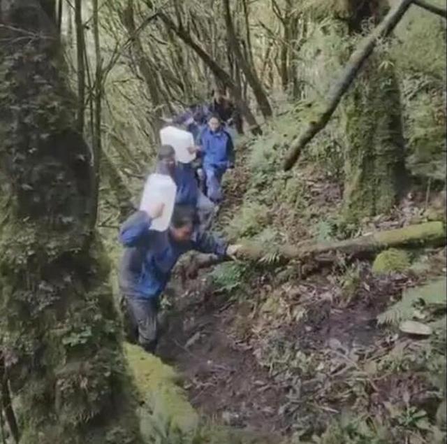 哀牢山遇难者或因罗盘故障原地转圈 有队员遗体呈失温后症状
