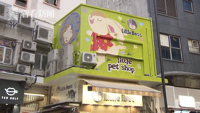 香港一宠物店11只仓鼠样本阳性 停止进口人道处理