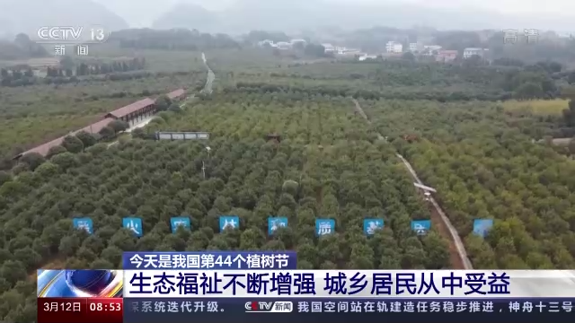 5006万亩！为了这个目标，一起“植”此青绿吧！