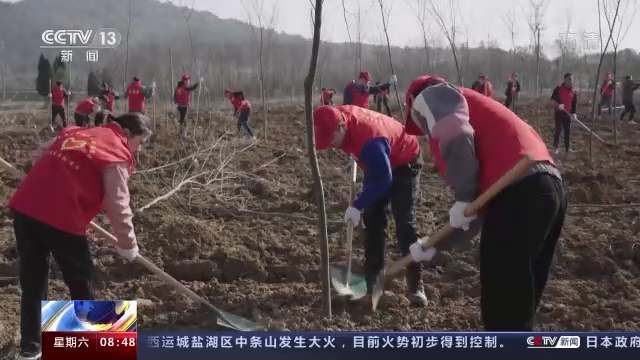 5006万亩！为了这个目标，一起“植”此青绿吧！