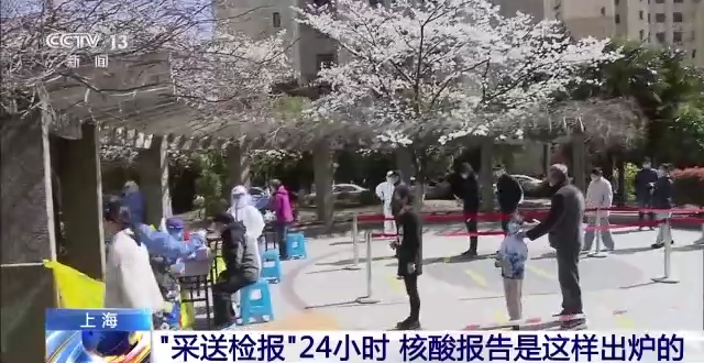 “采送检报”24小时 核酸报告是这样出炉的