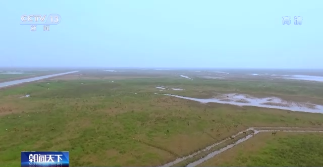 我国64处国际重要湿地保护取得显著成效 湿地调查监测体系初步形成_行业资讯_第2张_百科参考网 我国64处国际重要湿地保护取得显著成效 湿地调查监测体系初步形成_https://www.whai.cc_行业资讯_第2张