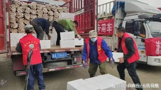 杭州每天10万斤早笋驰援上海