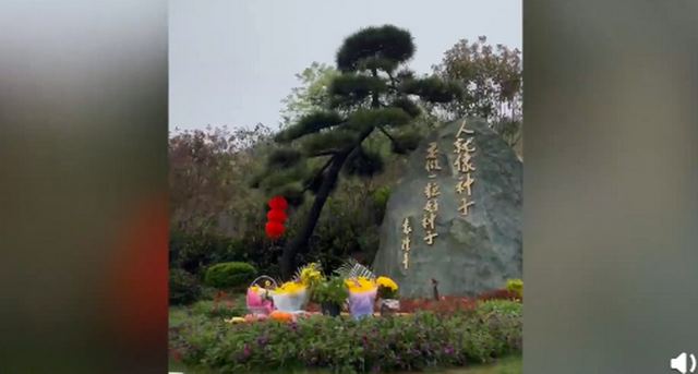袁隆平院士雕像落成揭幕 袁隆平夫人口罩上的话让人泪目