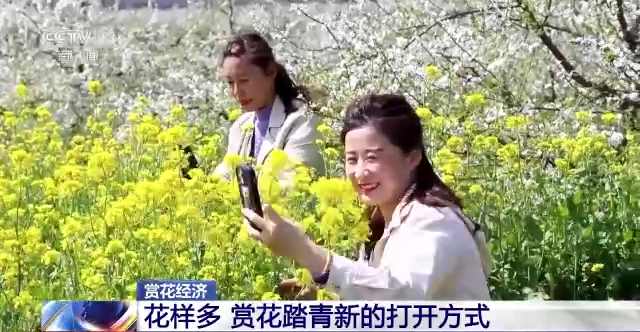 去哪“赏花踏青”更有“氛围感”