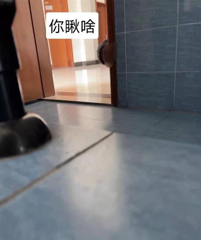 画面曝光 网传南京高校副教授疑偷窥女厕被停职