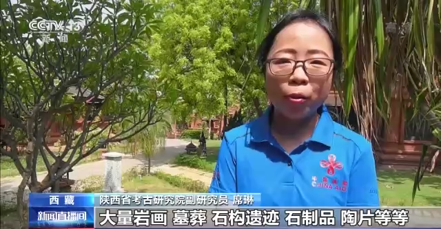 西藏考古发现大量岩画