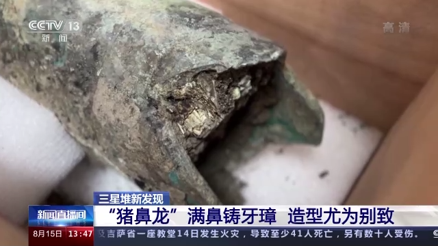 三星堆新发现 猪鼻龙”“四翼小神兽”再现新奇特