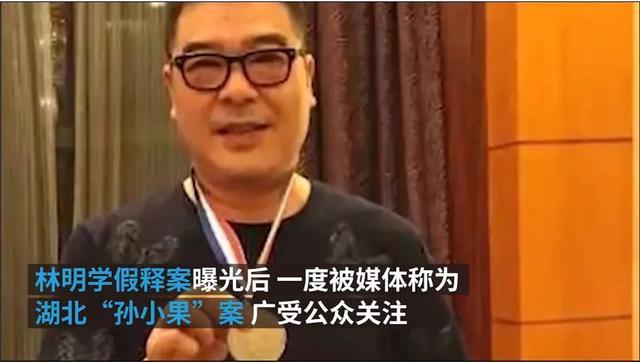 武汉市委原常委涉案，湖北“孙小果”保护伞曝光，厅级干部7人、军队干部2人！