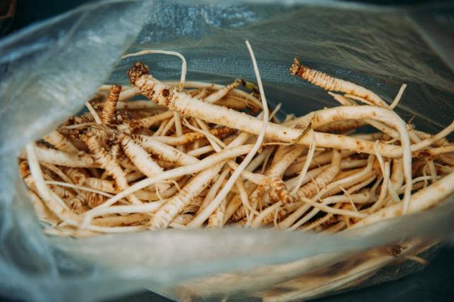 “药食同源”你了解多少？月子中心因在鸡汤里加党参被罚3万