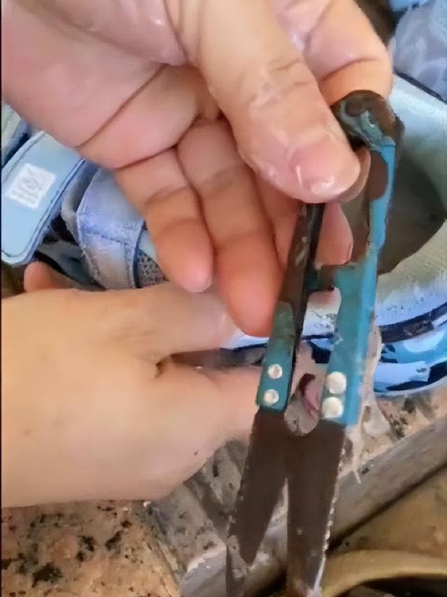 童鞋鞋底藏剪刀？回力回应：系假冒伪劣产品，已提起诉讼